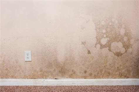 water damaged drywall|How To Determine Drywall Water Damage 